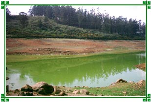 Lake View, Ooty