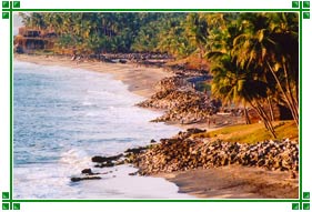 Varkala Beach, Kerala